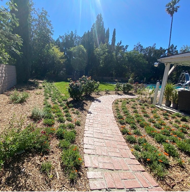 Wide backyard view showing pool area with palm tree and brick pathway