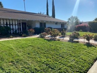 Front of Fine White property — classic ranch home with green lawn and cypress trees