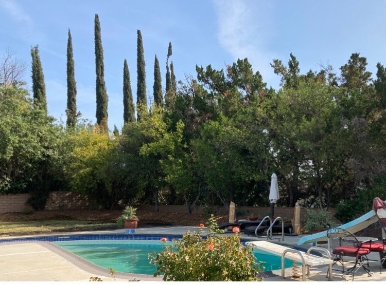 Close view of curved brick path through rose garden leading toward the yard