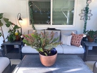Covered patio surrounded by lush plants and comfortable outdoor seating