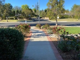 Landscaped walkway with rose garden leading to the front entry